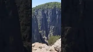 Турция, Тазы каньон,  20.08.24(2)