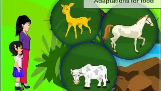 Science - Adaptation for food - Herbivores, Carnivores, Ominbores, scavengers and Parasites