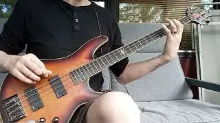 "Godhead's Lament" Opeth bass cover