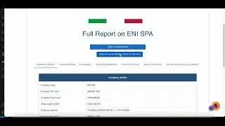Search comprehensive data about Italian companies and process this and other information with a RAG
