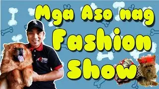 Mga Aso nag Fashion Show / Ickonikz