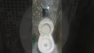 туда эти ваши туалеты