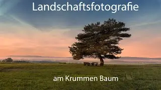 Landschaftsfotografie am krummen Baum