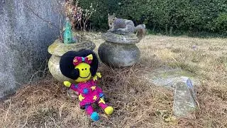 Stella And The Squirrel