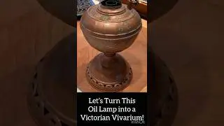 Unique or Just Weird—Victorian Style Vivarium  #shorts