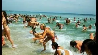 What are Sea Lice?