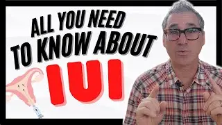 Getting Pregnant with IUI: Everything you need to know (tips from a Fertility Doctor)