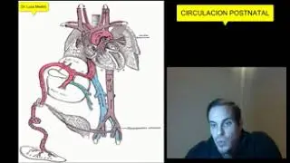 Dr luca Merlini (doctops )