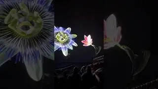 Это просто завораживает