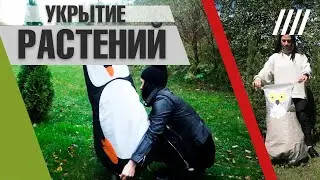 Укрытие растений  ➔ Укрывные колпаки