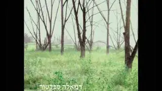דניאלה ספקטור - זה הזמן