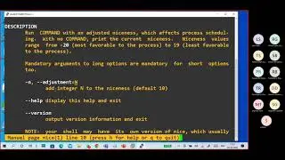 (B17) Basic Linux part27 process priority - nice, renice