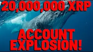XRP Whale Moves 20 MILLION COINS FROM EXCHANGE | INSANE Number Of NEW XRP Accounts CREATED