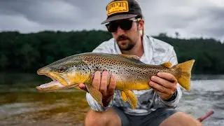 PERSONAL BEST | White River Brown Trout (4K/120fps, A7SIII Cinematic)