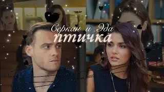 Эда 💫 Серкан | Птичка - HammAli & Navai | kapımı çal