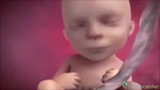 Shtatëzania - Pregnancy ( Java - Week 15 - 20 )