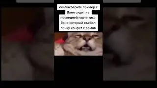 🤣 #Shorts #TikTok #Мемы
