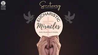 Sanctuary I Eucharistic Miracles I Evlin VIncent