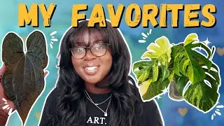 My FAVORITE Plants Right Now!🥰 | April Favorites🌱✨