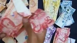ASMR PHILIPPINE PESOS ( PHP ) SORT AND COUNT-  Let us Sort and count 100,920PHP
