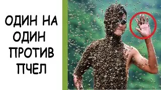 НА МЕНЯ НАПАЛИ ПЧЕЛЫ!