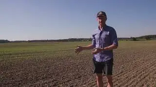 Det skal du være opmærksom på i rapsen