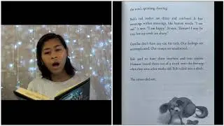 THE ONE AND ONLY IVAN READ ALOUD - Chapter 16 - 20