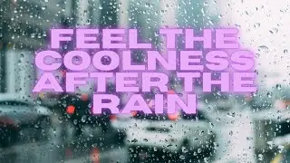 Rain \ Sounds of nature \ Feel the coolness