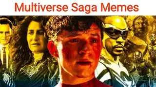 Marvel Multiverse Saga Memes