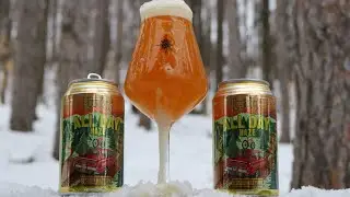 Founders Brewing Co.|All Day Haze Review|New Hazy Session IPA!