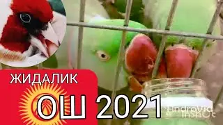 КУВА КУШ БОЗОРИ