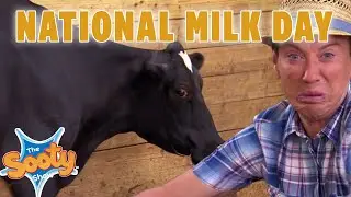 National Milk Day 🥛🐄  -   