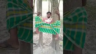 পরীর স্বপ্ন দেখাইছে