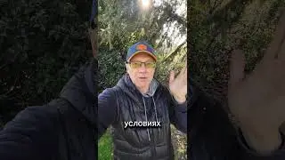 От себя не убежишь! Как найти свое место и раскрыть способности? 