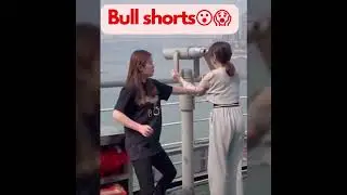 Bull shorts