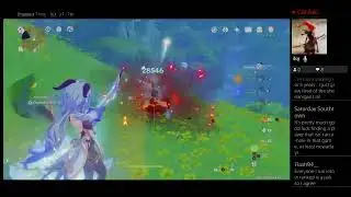 Daily commissions/ Coop