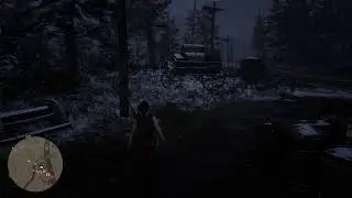 Red dead online