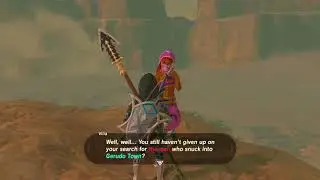 Zelda How to get into Gerudo Town