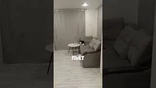 КОШКА С МЫШКОЙ ПОРУГАЛИСЬ