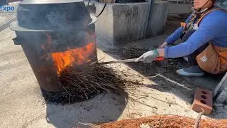 Traditional Korean Rice Grain Syrup Manufacturing Process Vegan Food _ ROAExpo