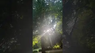 Bad Kissingen Klanggarten