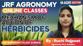 MECHANISM  OF ACTION OF HERBICIDES 