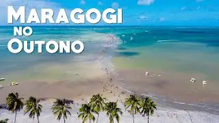 MARAGOGI NO OUTONO / INVERNO