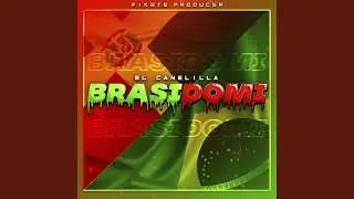 Brasidomi
