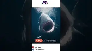 Ini salah satu serangan hewan terkuat, tercepat dengan suhu panas #manifullasi #shorts #fyp #viral