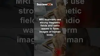 MRI Full Form | MRI ka Full form Kya Hai? | MRI Full form in Hindi | GK Full Form | SuccessCDs