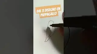 dal 3  disegno un pappagallo