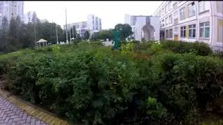 ДИМООООН!!