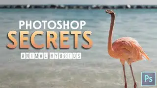 Photoshop Tutorial - Animal Hybrids