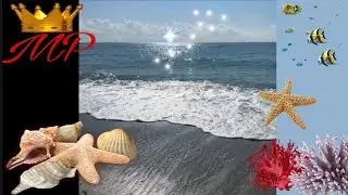 MUSICA E MARE